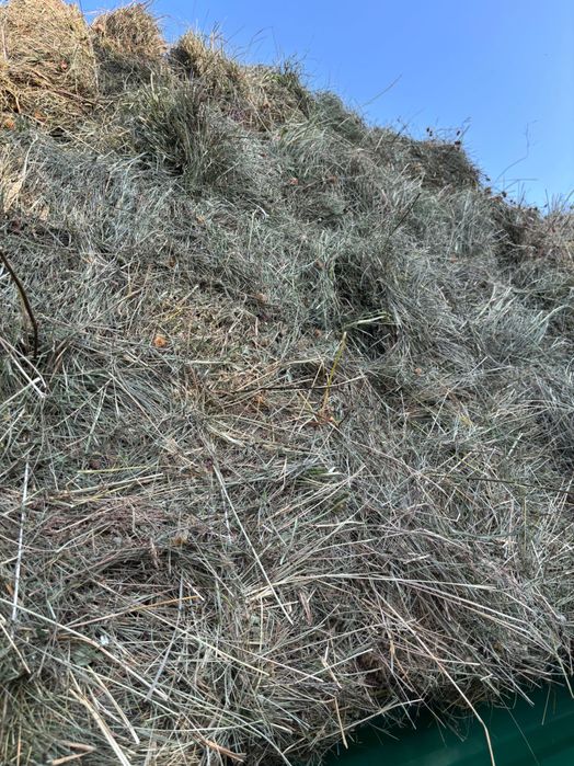 Siano, słoma, owies