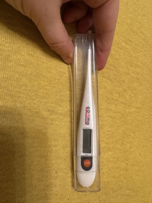 Термометр електричний