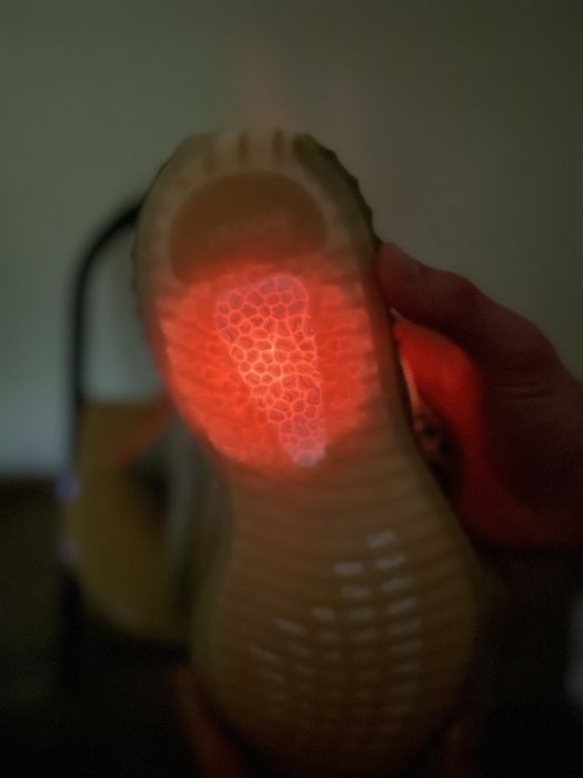 Adidas Yeezy Boost 350