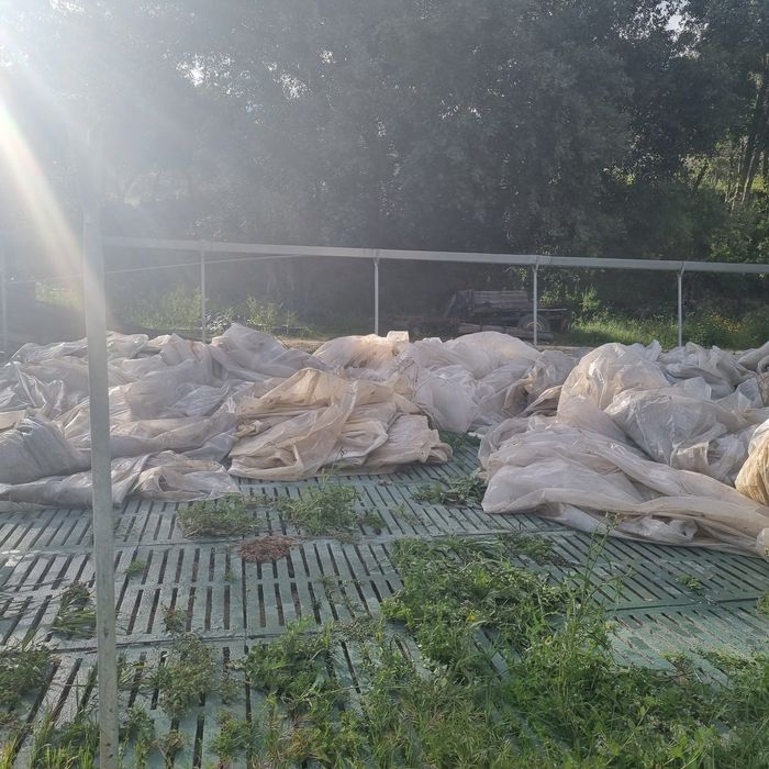 5000 metros quadrados de plásticos de estufa. VENDO PELA MELHOR OFERTA