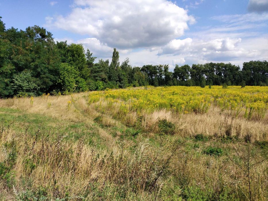 Продам 50-сот землі фасад село Глибочиця об'їзна дорога на Вінницю