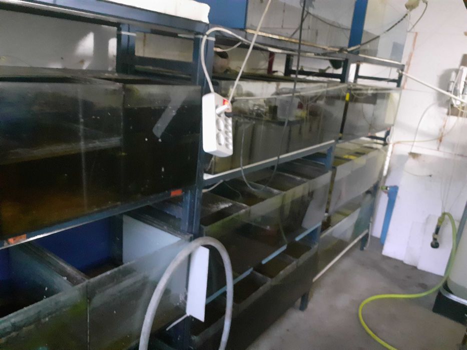 Sprzedam używany regał z  akwariami