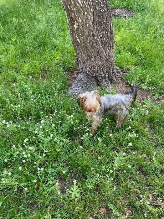 Раздаю очарованных Девочек и Мальчиков очень Красивых и Не Повторимых