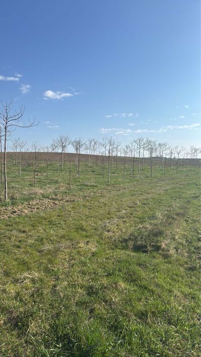 Бізнес Поле продаж