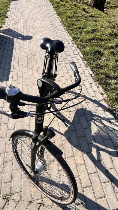 Rower Batavus allround