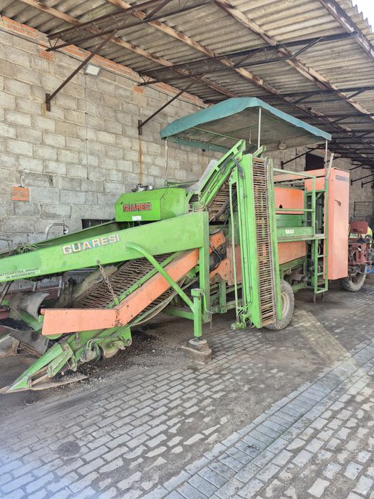 Kombajn do pomidorów cebuli ziemniaków pomac guaresi guaressi