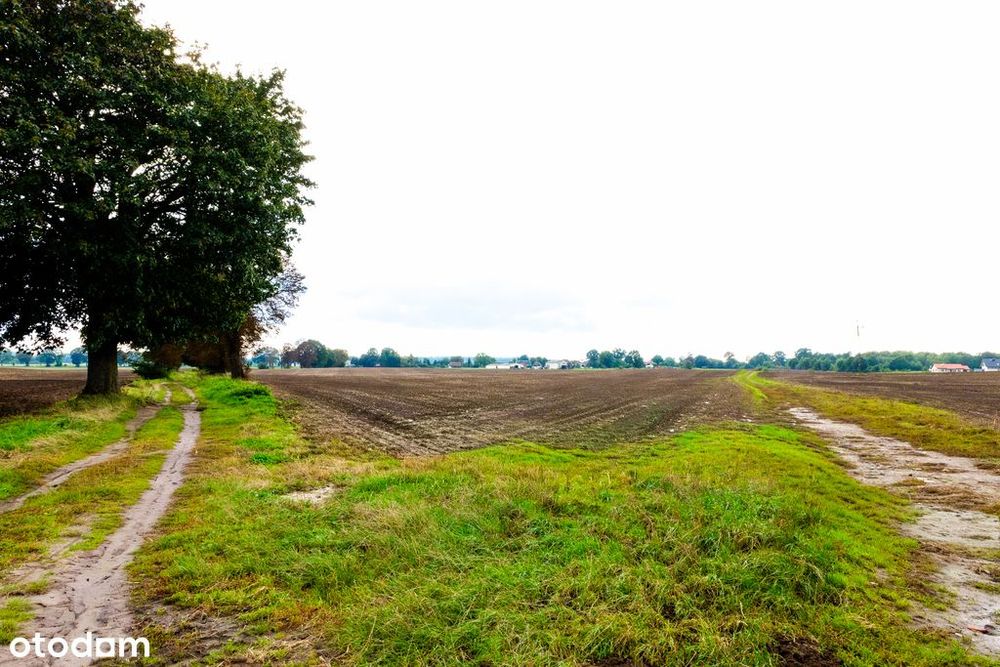 Działka z potencjałem – Sławno | Bobrowiczki