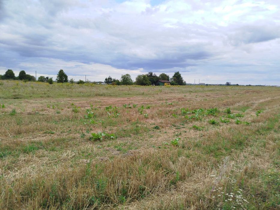 Продам земельні ділянки  під забудову в с.Небіжка