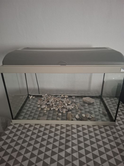Aquarium  peixes