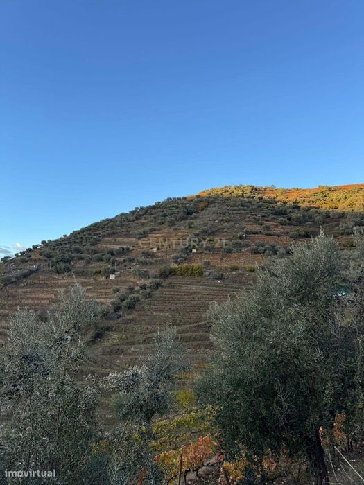 Oportunidade para Agricultores – Terreno de 1.192 m² em Santa Marta de