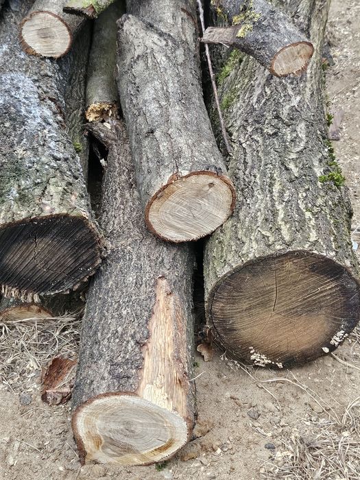 Sprzedam drewno robione pod klienta