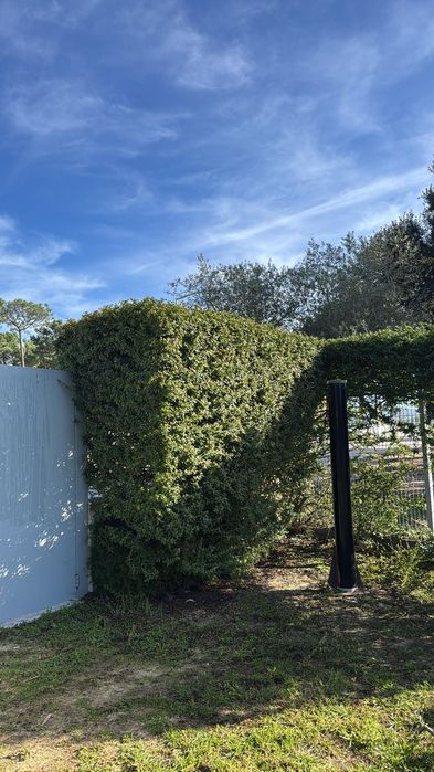 Manutenção de jardins