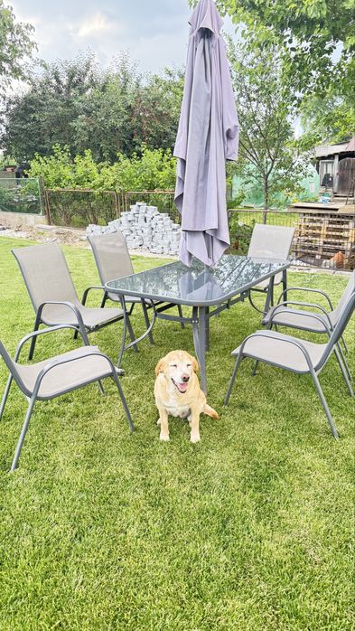 Elegancki Zestaw Mebli Ogrodowych: Stół + 6 Krzeseł + Parasol