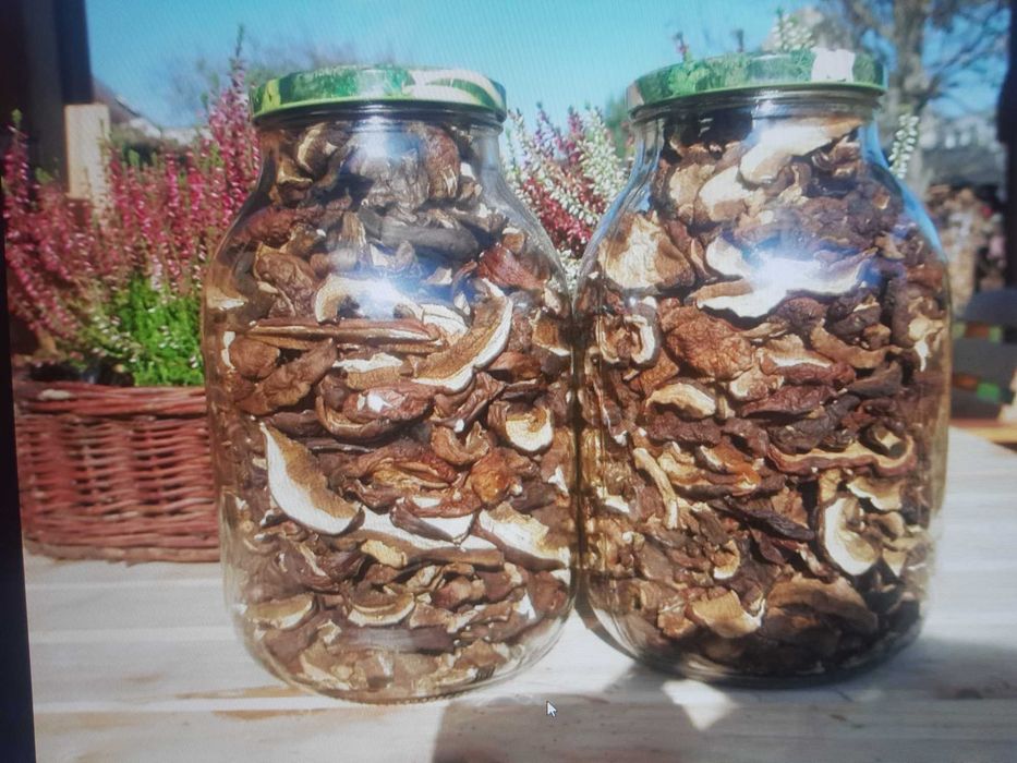 Podgrzybki suszone sprzedam