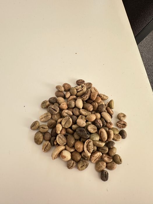 Кава в зернах Робуста Вʼєтнамська | ОПТ | від 15 кг