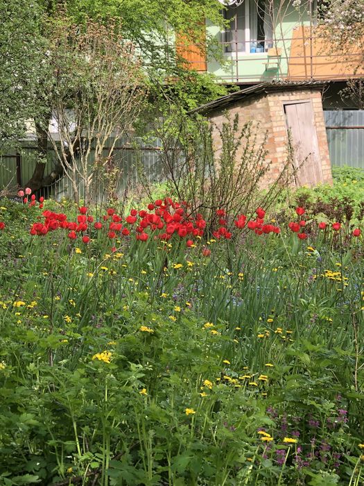 Подарую будинок(дом)- 12 соток землі. Мишоловка. пр.Науки. Озеро.