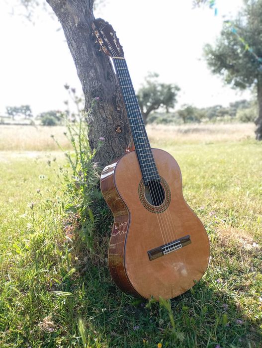 Manuel Rodriguez & Hijos Luthier Mod C