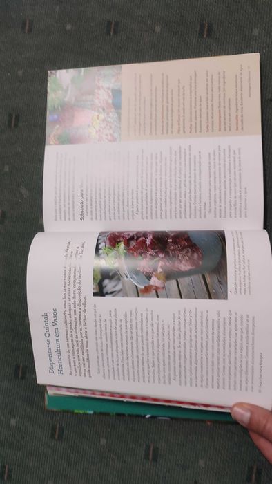 Faça a sua Horta Biológica - Gayla Trail