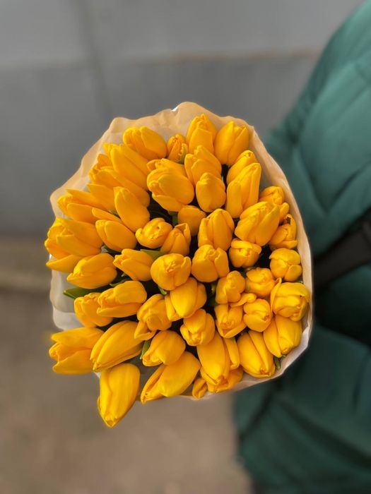 ХІТ! Український тюльпан / гурт опт / від 30 грн / висота до 50 см