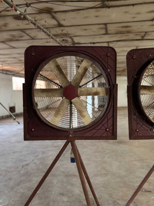 Venda de Equipamentos de Aviário – Casével, Santarém