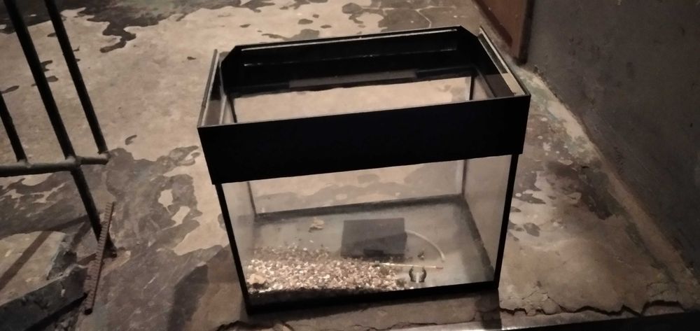 Аквариум размер 22х40х50 см