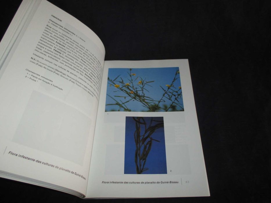 Livro Flora Infestante das Culturas de Planalto da Guiné-Bissau