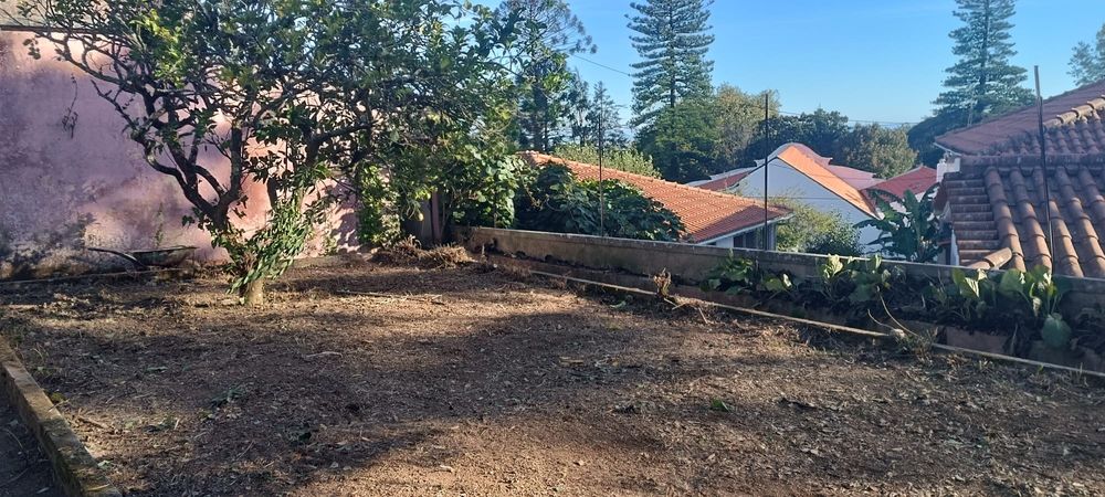 Limpeza de jardim e terrenos