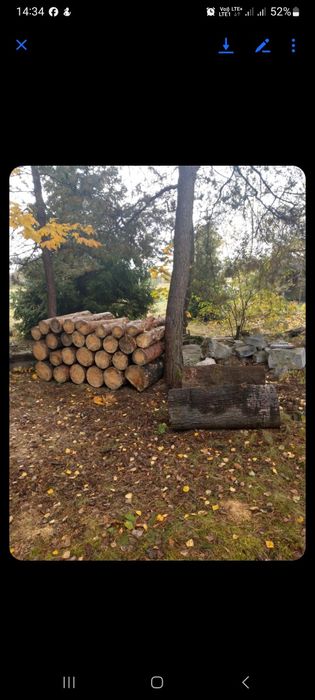 Drewno opałowe sosna