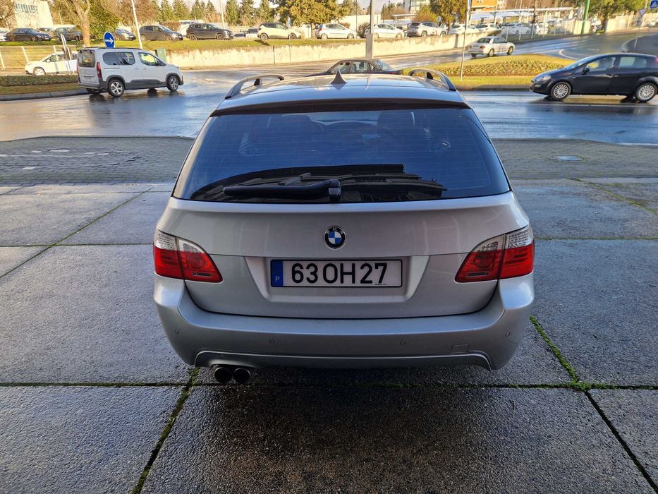 Procuro novo dono que me trate tão bem como este