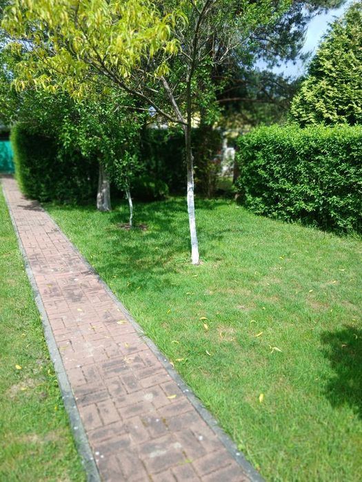 Działka rekreacyjna ROD REKREACJA KLUCZ 297 m² - Widok 2