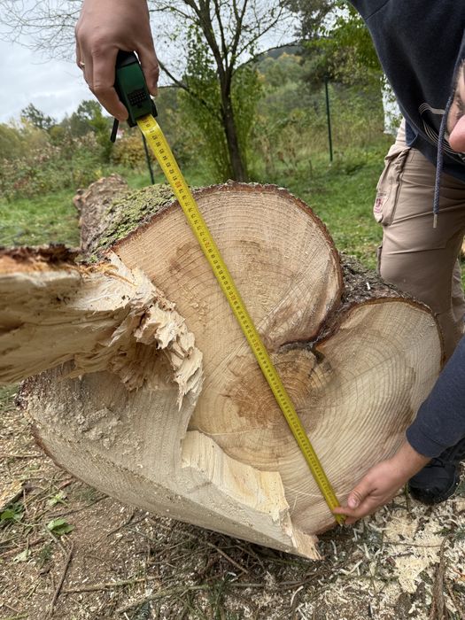 Świerk kłoda tartaczna na deski
