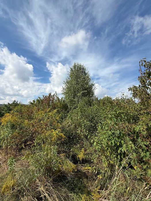 Продаж земельна ділянка Лисиничі біля Львова