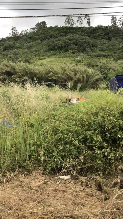 Limpeza de terreno