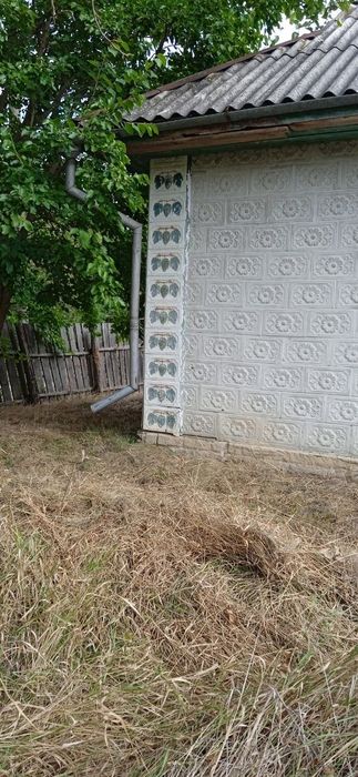 Будинок з територією