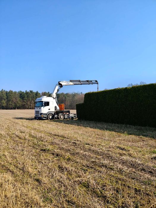 Transport HDS/Udźwig 11 ton/Maszyny/Kontenery/Transport Miedzynarodowy