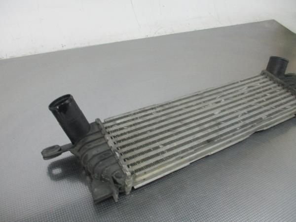 Radiador do intercooler RENAULT Kangoo (KC0/1_)