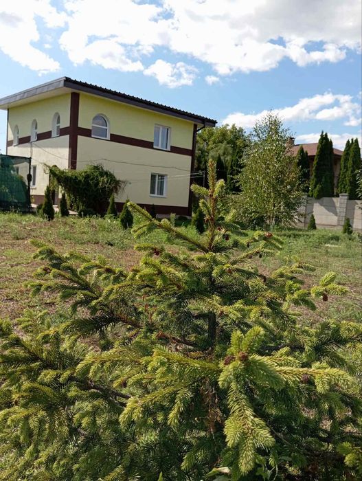 Нерухомість в місті Кам’янське