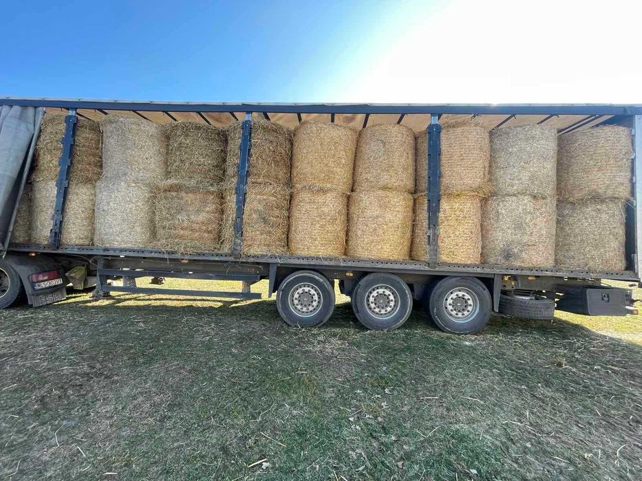 Słoma  pszenźytnia