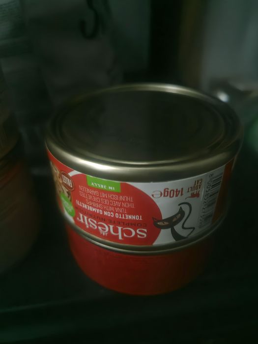 Karmy mokre dla młodego kociaka