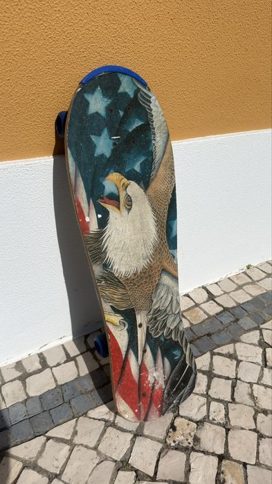 Skate board long513121575660441601