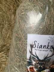 Sianko dla krolika chomika i swinki