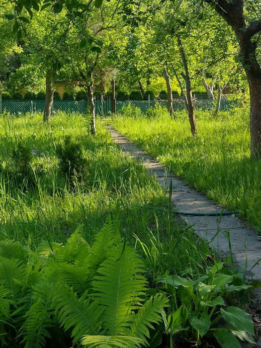 Działka ROD na Ochocie 372 m² - Widok 3