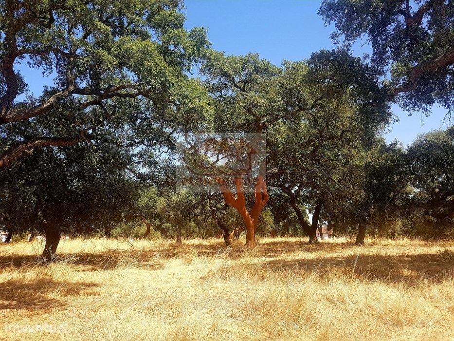 Terreno com projeto aprovado para Hotel Rural em Grândola!
