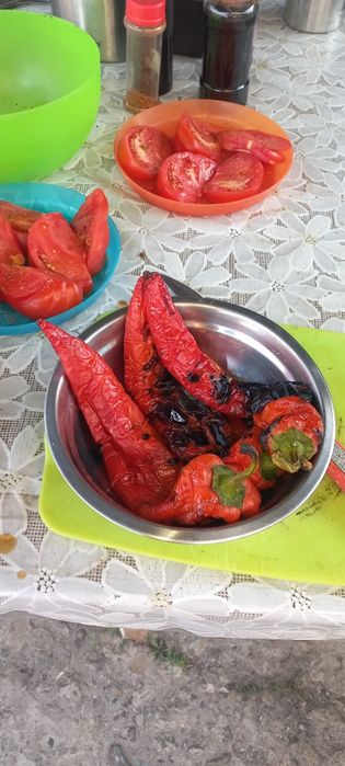 Гриль- барбекю с чугунной решеткой