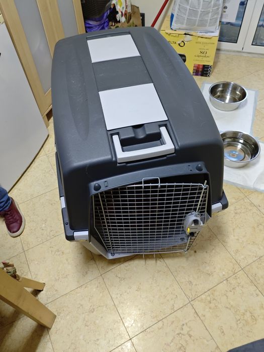 Transportador IATA 7 da Gulliver.