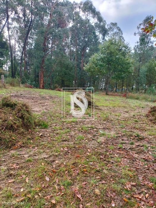 Terreno Não definido em Várzea