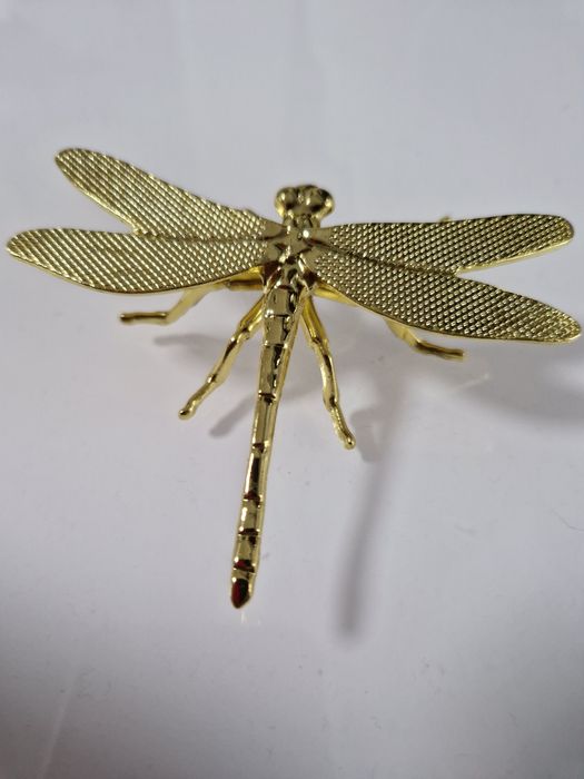 Libelinha dourada lindíssima.  Nova