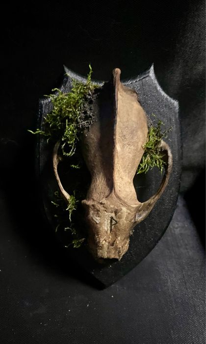 Композиція з черепом борсука