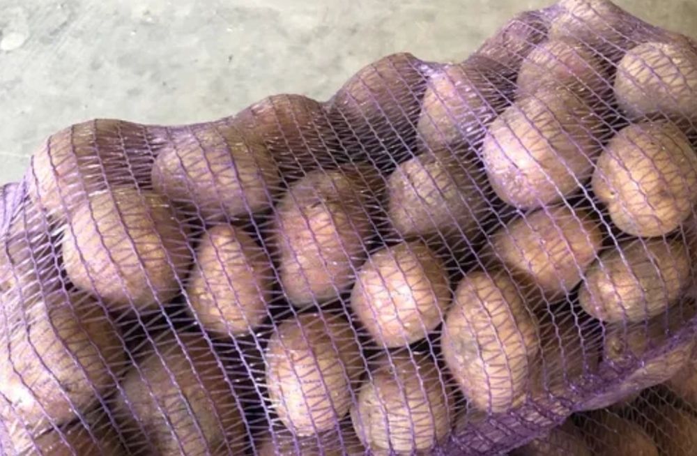 Картопля Бела роса, Гренада