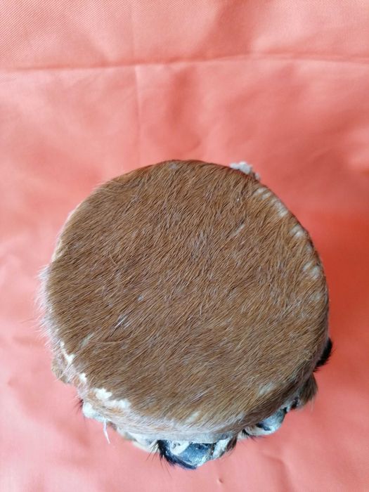 Oryginalny afrykański instrument grzechotka